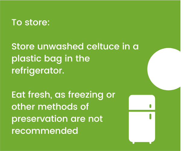 CeltuceStorage