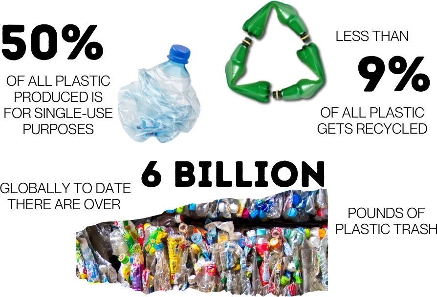 Plastic Waste Infographic