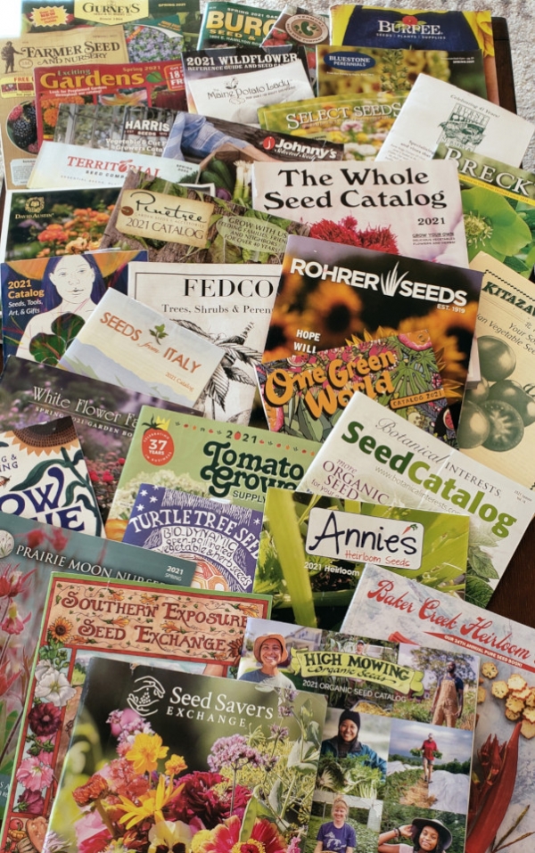 An abundance of SEED CATALOGS!